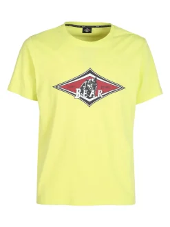 Bear T-shirt uomo in cotone organico