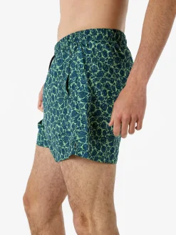 Buoncostume Boxer mare da uomo colorati - verde