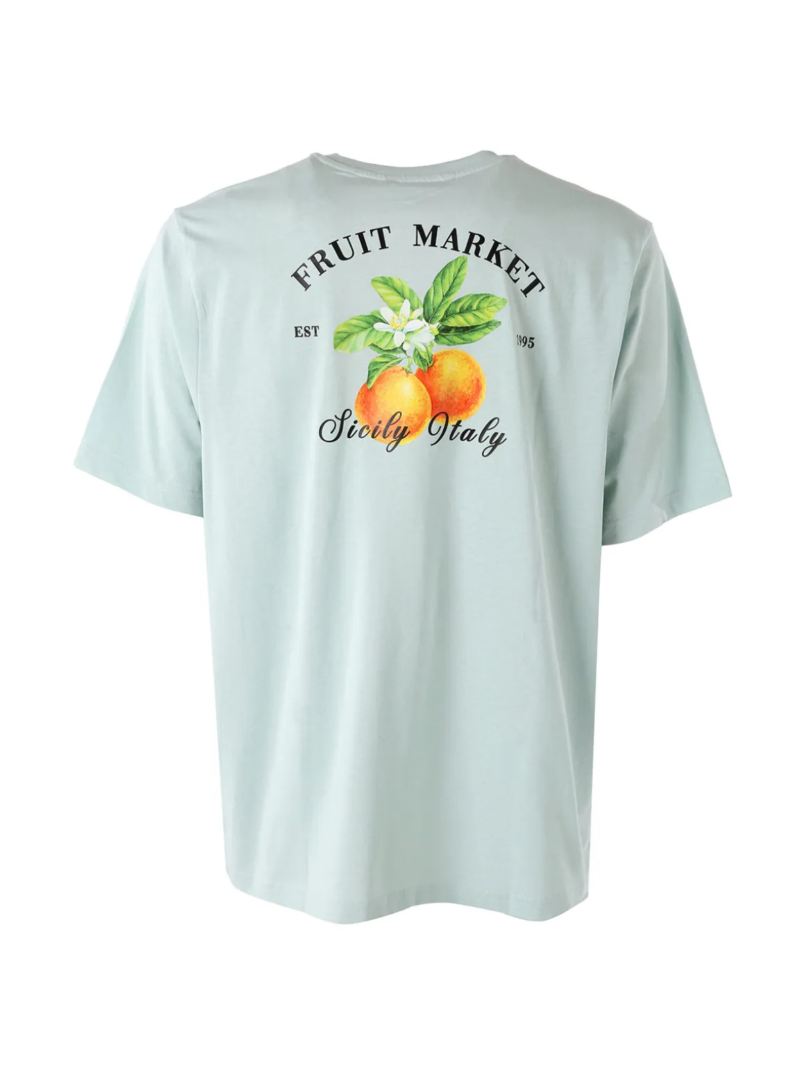 Buoncostume T-shirt da uomo in cotone con stampa davanti e dietro - acqua marina