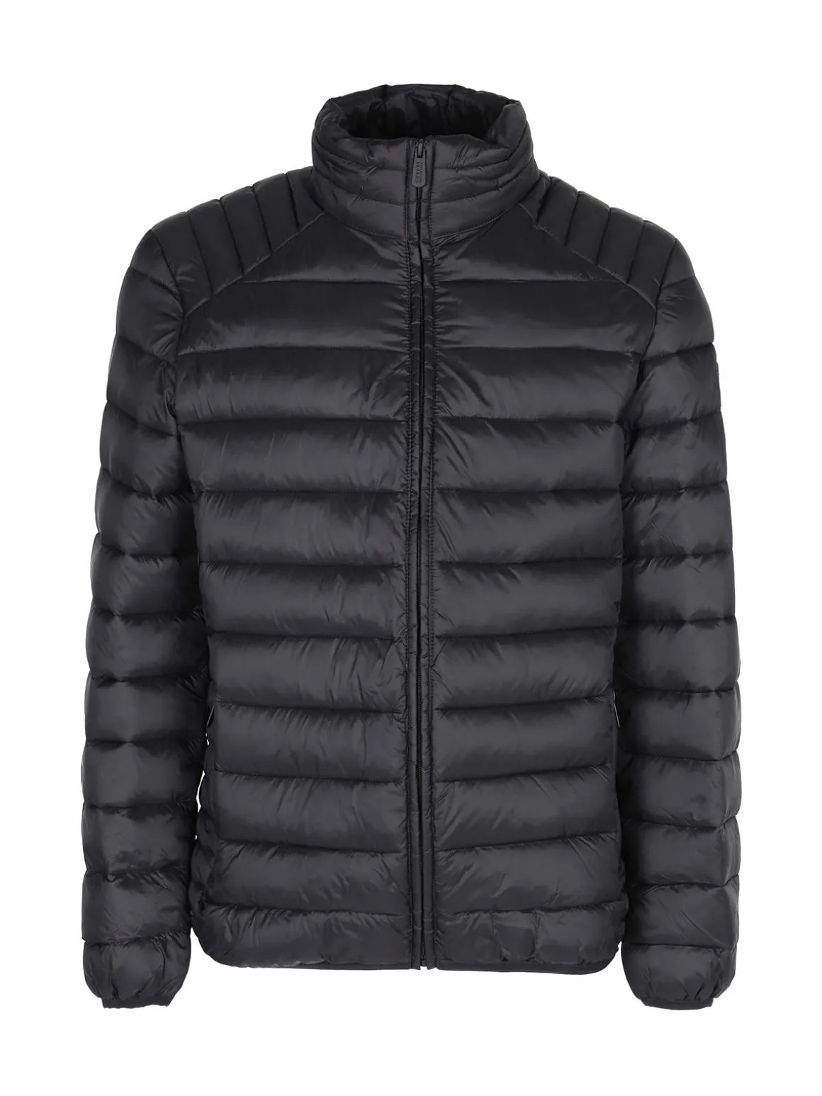 Coveri Collection Piumino da uomo con zip