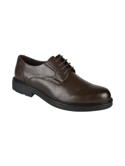 Enrico Coveri Scarpe classiche stringate da uomo - caffè