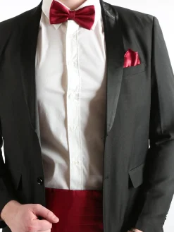 Solada Set 3 pezzi uomo con fascia da smoking papillon e fazzoletto